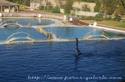 Marineland Antibes - 014