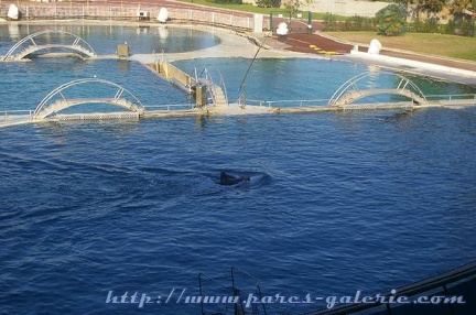 Marineland Antibes - 015