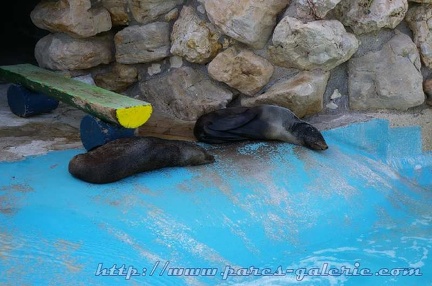 Marineland Antibes - 002