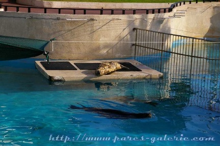 Marineland Antibes - 005