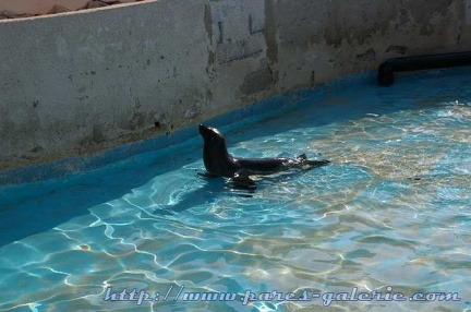 Marineland Antibes - 007