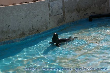 Marineland Antibes - 008