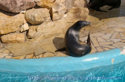 Marineland Antibes - 009