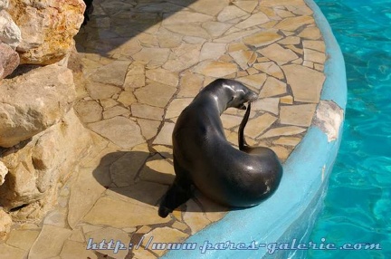 Marineland Antibes - 010