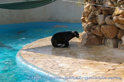 Marineland Antibes - 011