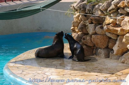 Marineland Antibes - 012