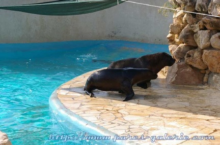 Marineland Antibes - 013