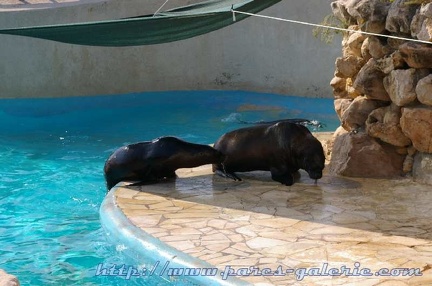 Marineland Antibes - 014