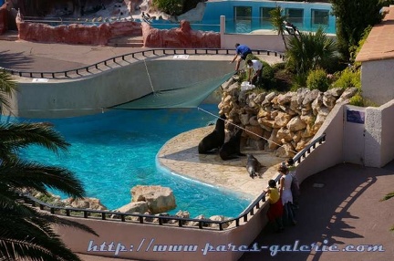 Marineland Antibes - 015