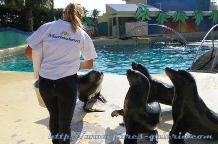 Marineland Antibes - 001