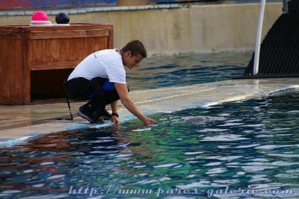 Marineland Antibes - 001