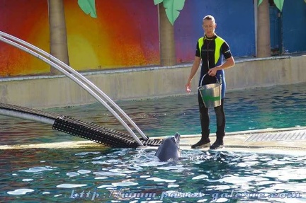 Marineland Antibes - 002