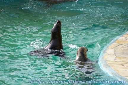 Marineland Antibes - 001