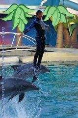 Marineland Antibes - 001