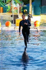 Marineland Antibes - 001