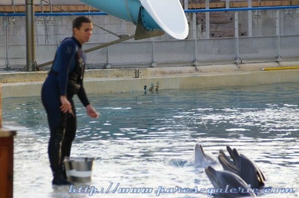 Marineland Antibes - 001