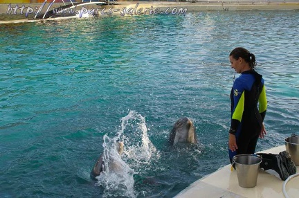 Marineland Antibes - 001