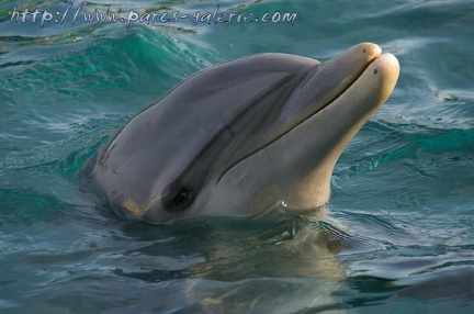 Marineland Antibes - 005