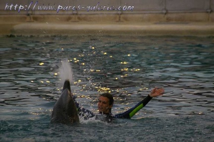 Marineland Antibes - 001