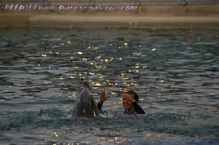 Marineland Antibes - 002