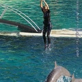Marineland Antibes - 005