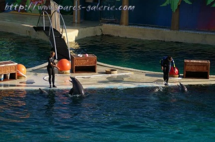 Marineland Antibes - 006