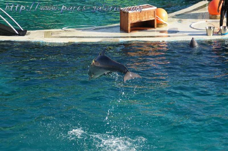 Marineland_Antibes_-_009.jpg