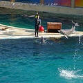 Marineland Antibes - 010