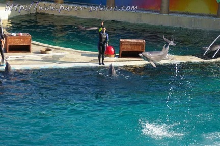 Marineland Antibes - 010