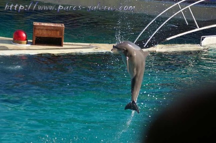 Marineland Antibes - 011