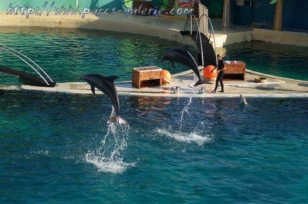 Marineland Antibes - 013