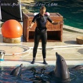 Marineland_Antibes_-_014.jpg