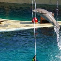 Marineland Antibes - 016