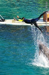 Marineland Antibes - 064