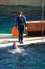 Marineland Antibes - 065