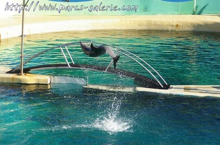 Marineland Antibes - 066