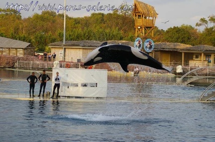 Marineland Antibes - 001