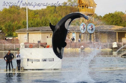 Marineland Antibes - 002