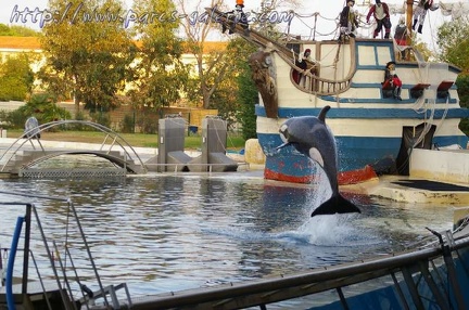 Marineland Antibes - 003