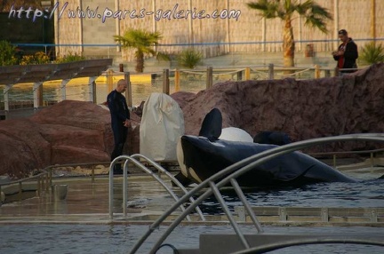 Marineland Antibes - 004