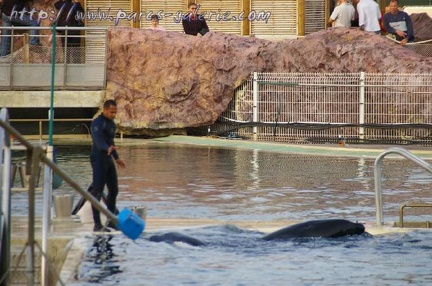 Marineland Antibes - 005