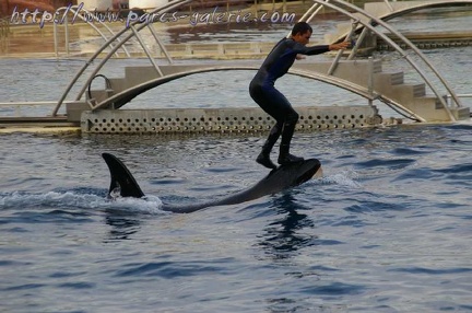 Marineland Antibes - 006