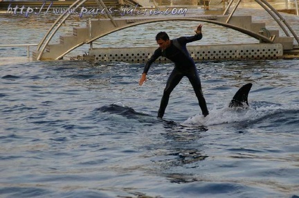 Marineland Antibes - 007