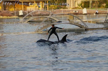 Marineland Antibes - 008