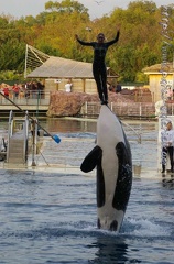 Marineland Antibes - 009