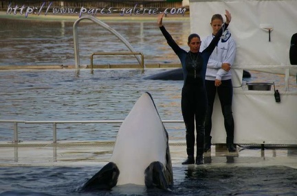 Marineland Antibes - 011