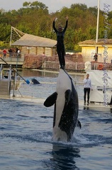 Marineland Antibes - 012