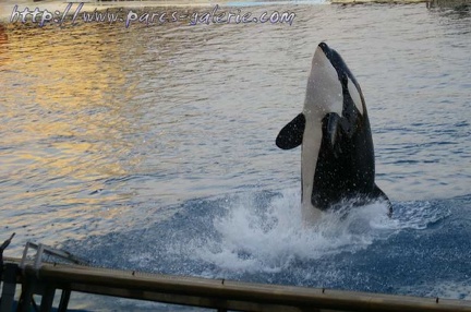 Marineland Antibes - 013