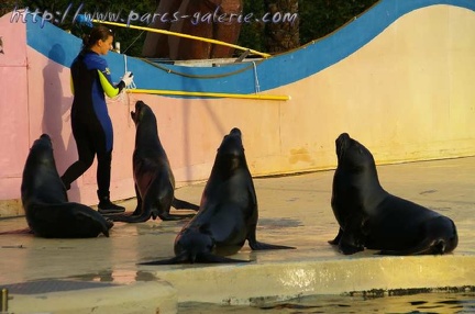 Marineland Antibes - 001