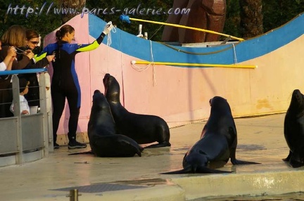 Marineland Antibes - 002